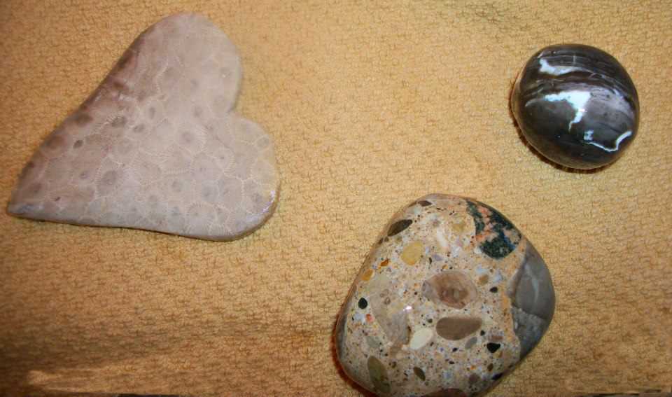 Petoskey stones black onyx and puddingstones.jpg